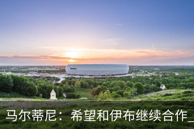 马尔蒂尼：希望和伊布继续合作 未和凯西达成一致